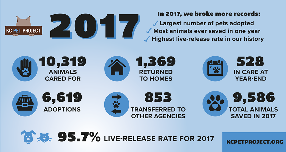 2017 stats