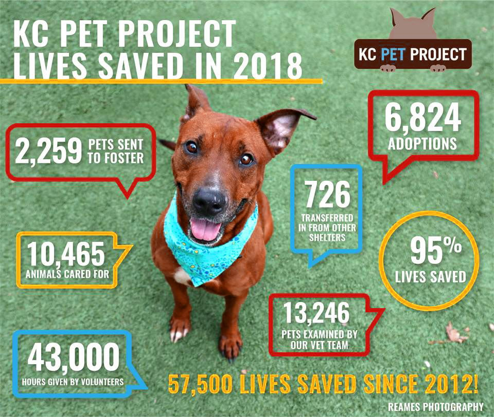 2018 Statistics | KC Pet Project