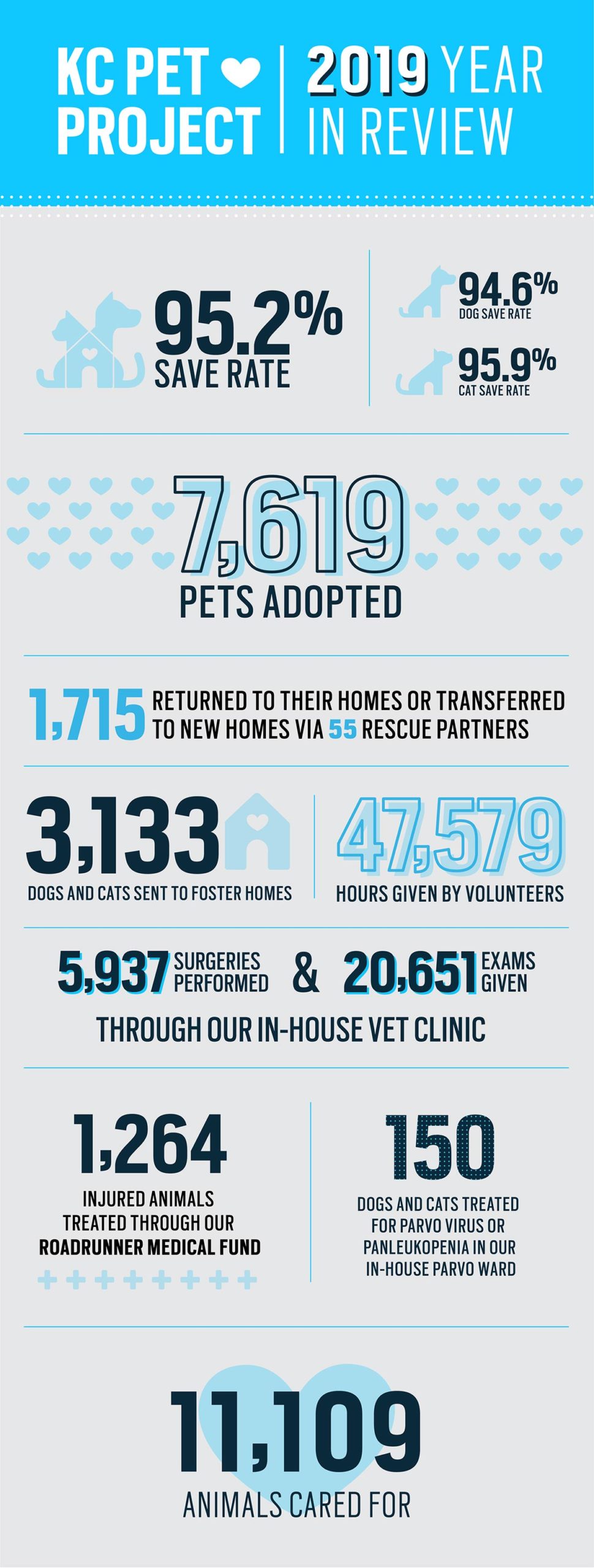 2019 Statistics KC Pet Project
