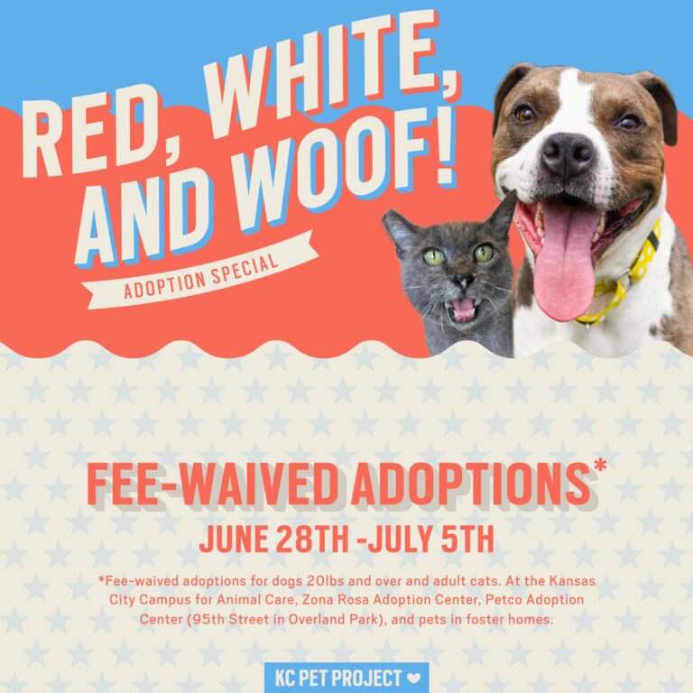red, white, and woof pet adoptions