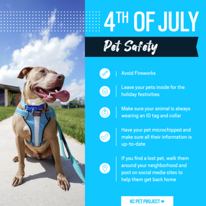 pet safety tips