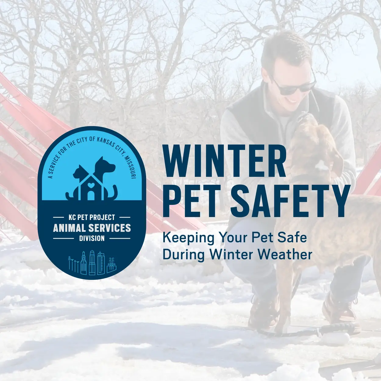 Pet Winter Safety Graphic