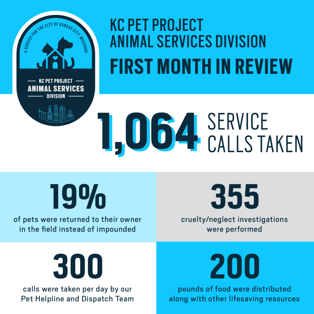 first month in review kc pet project