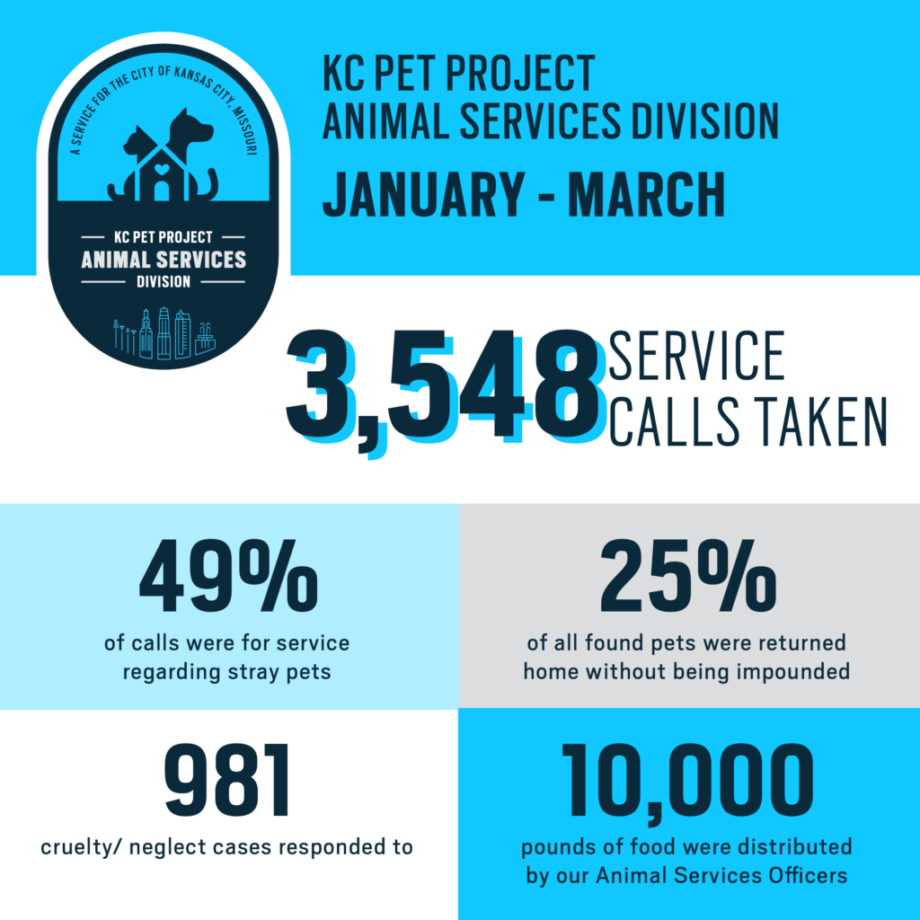 animal services division report kc pet project 