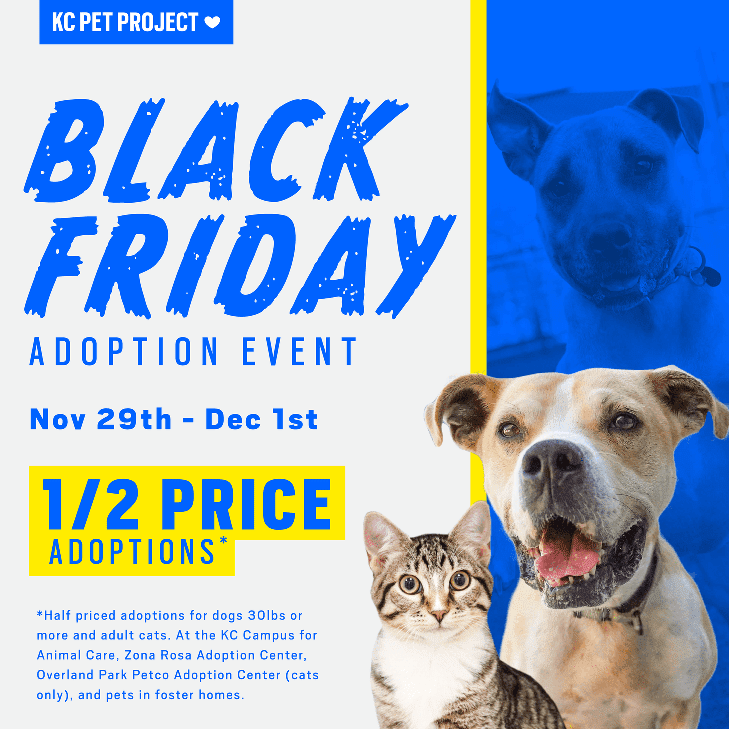 Black Friday Adoption Event graphic