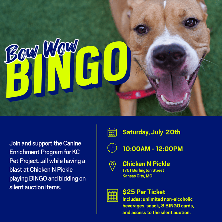 Bow Wow Bingo Graphic