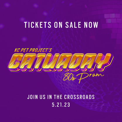 caturday tickets on sale graphic