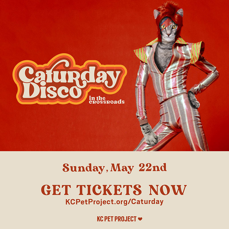 Caturday Tickets on Sale