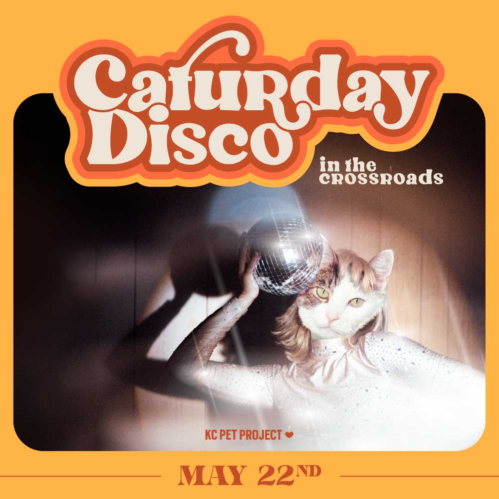 Caturday Disco