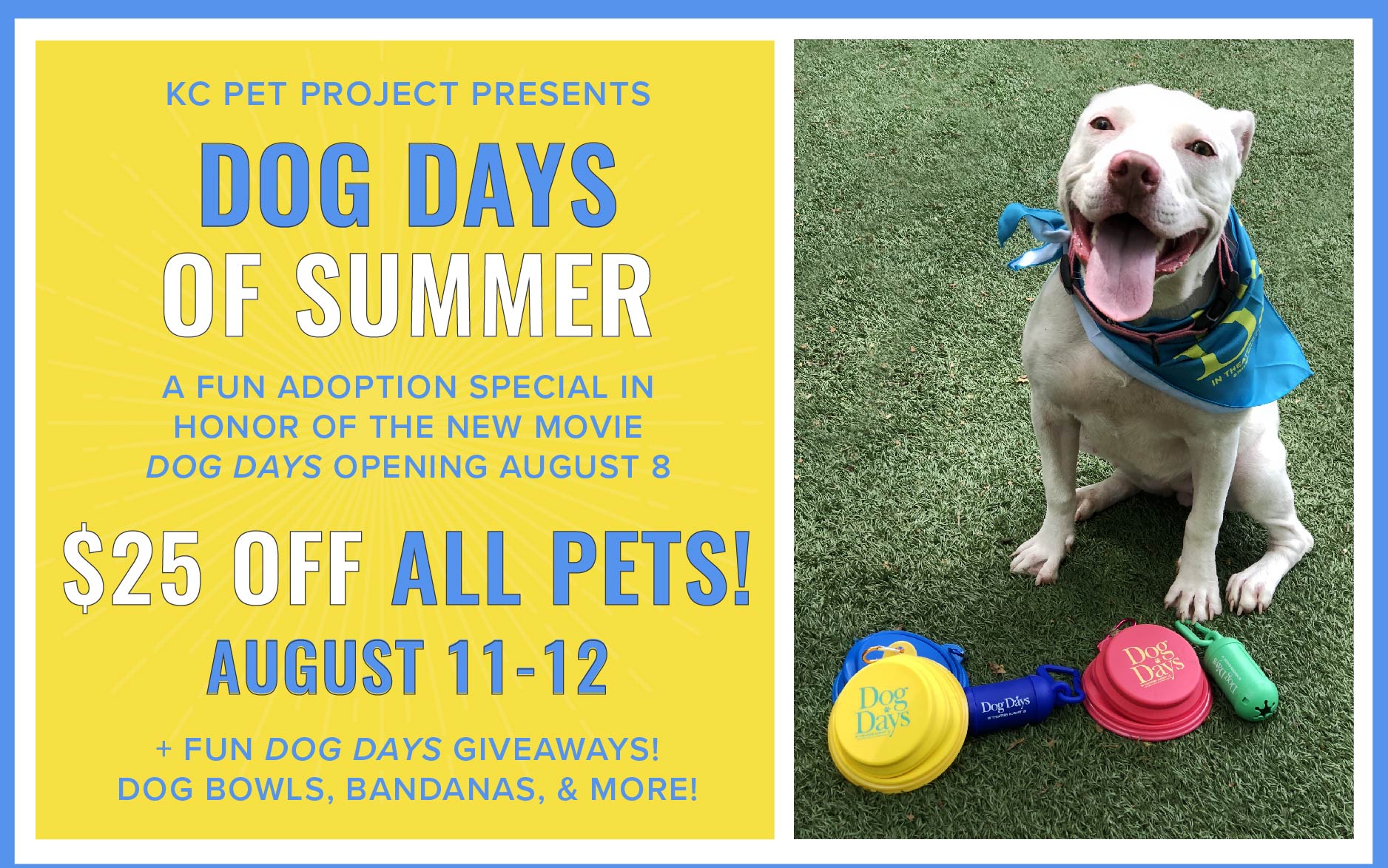 Dog Days of Summer | KC Pet Project