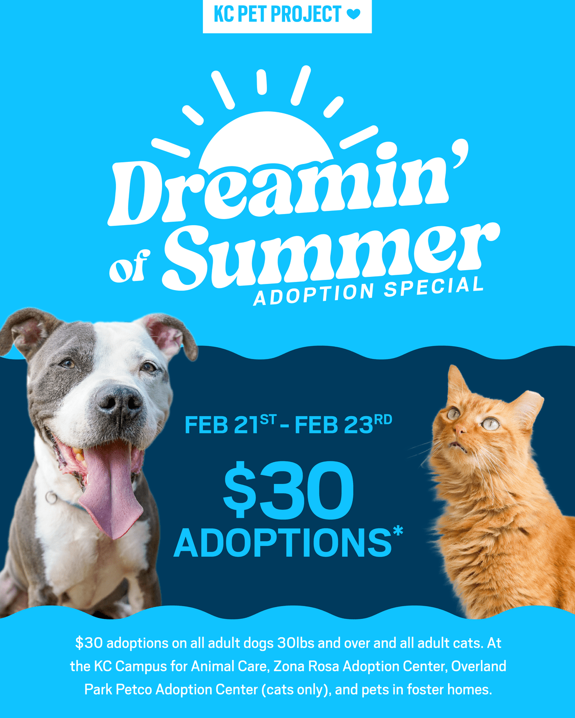 Dreaming of Summer Adoption Event