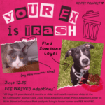 Your Ex is Trash, Find Someone Loyal Adoption Special Graphic