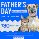 Father's Day Adoption Special graphic
