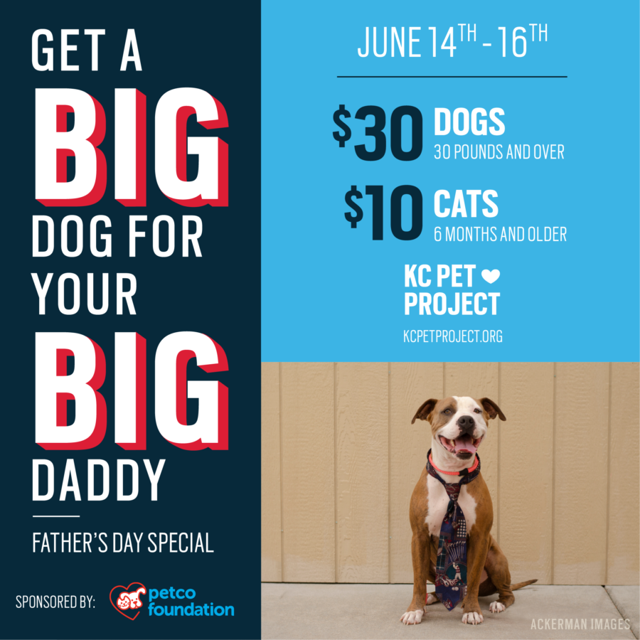Get a big dog for your big daddy