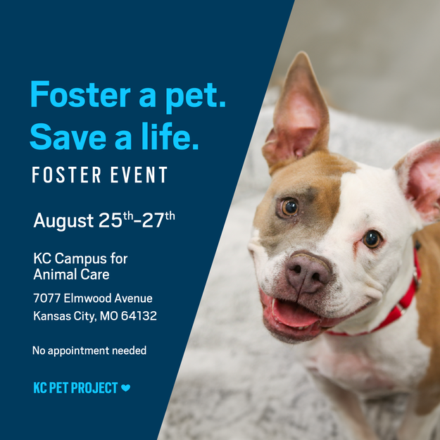 Foster a pet. Save a life. Foster Event graphic