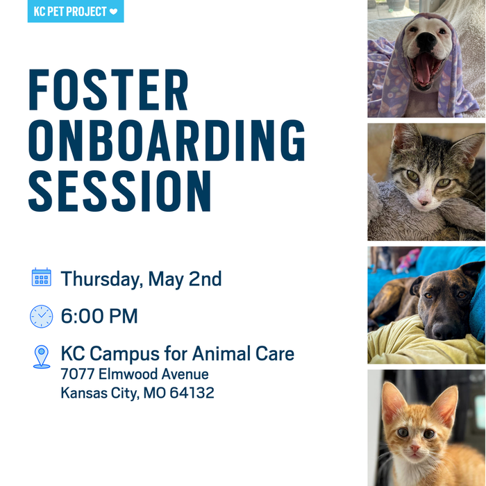 Foster Onboarding Session Graphic