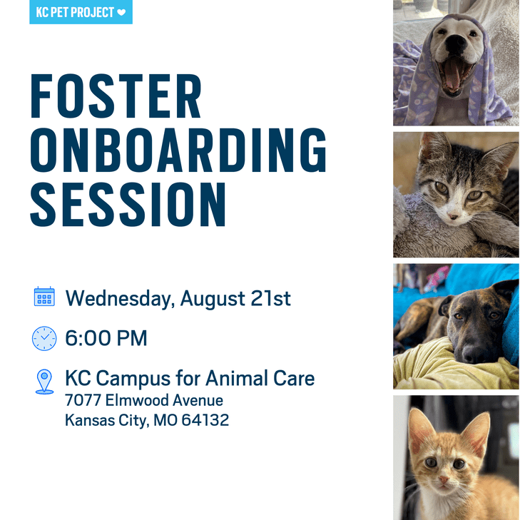 Foster Onboarding Graphic August 21st