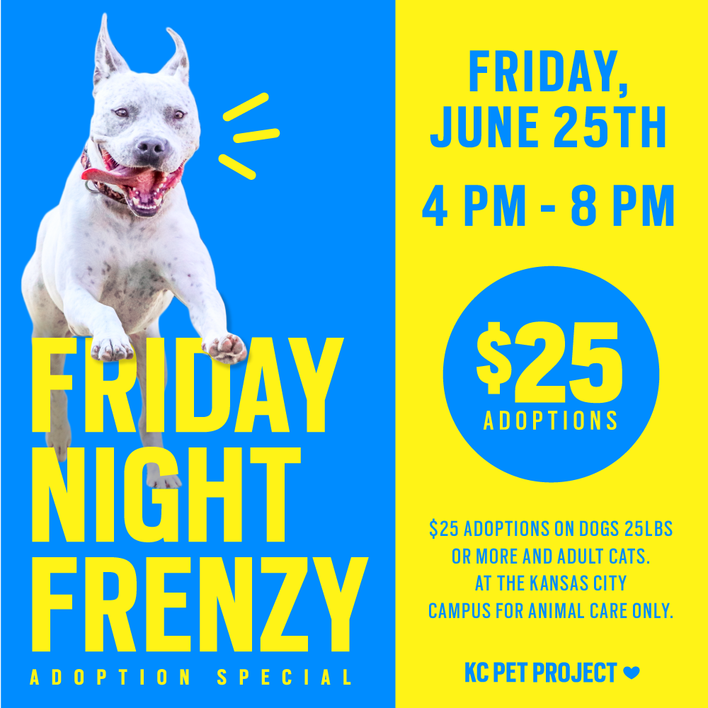 Friday Night Frenzy Adoption Special | KC Pet Project
