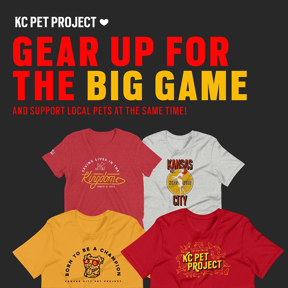 Gear Up for the Big Game