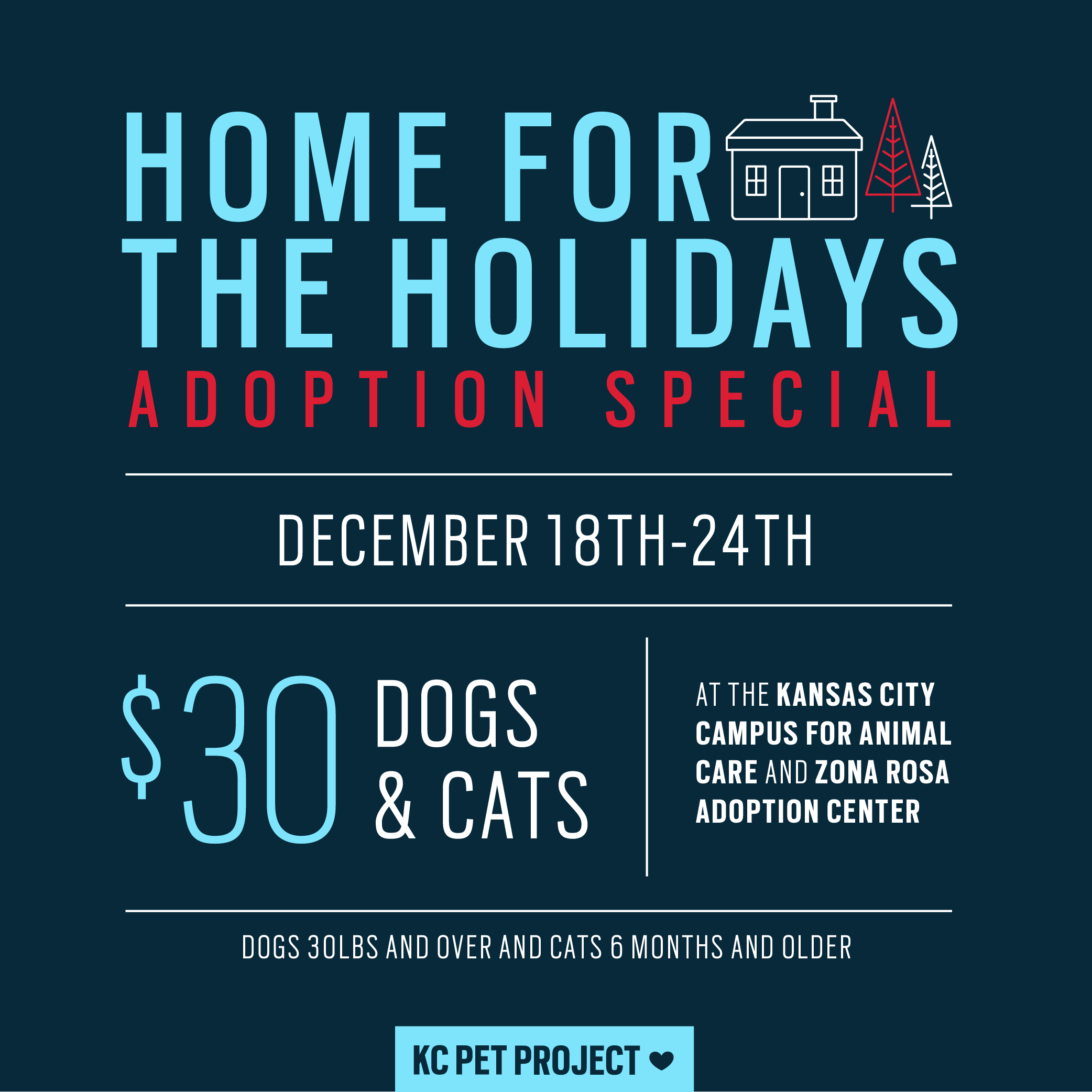 home for the holidays special