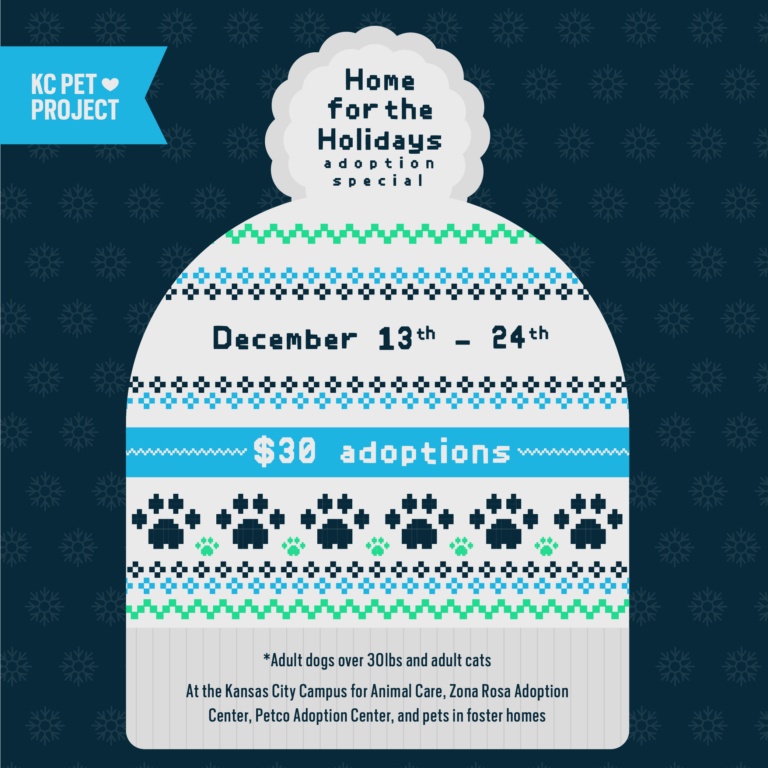 Home for the Holidays Adoption Special - Cats and dogs over 30 lb are $30 December 13-24!