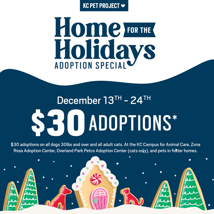 home for the holidays adoption special graphic