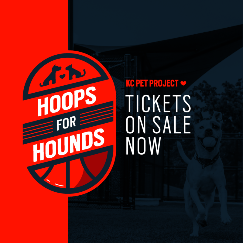 Hoops for Hounds
