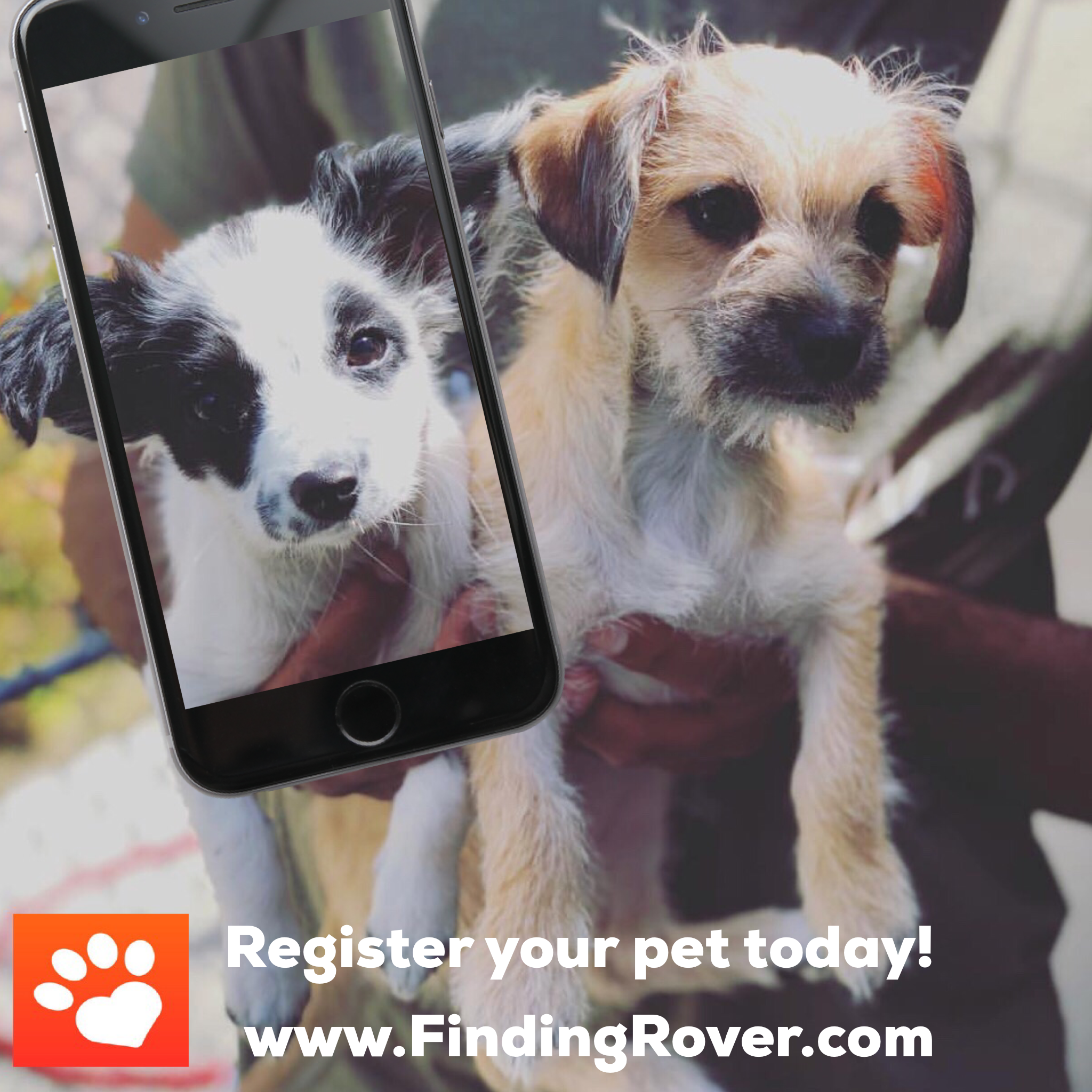 finding rover