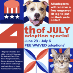 4th of July Adoption Special graphic