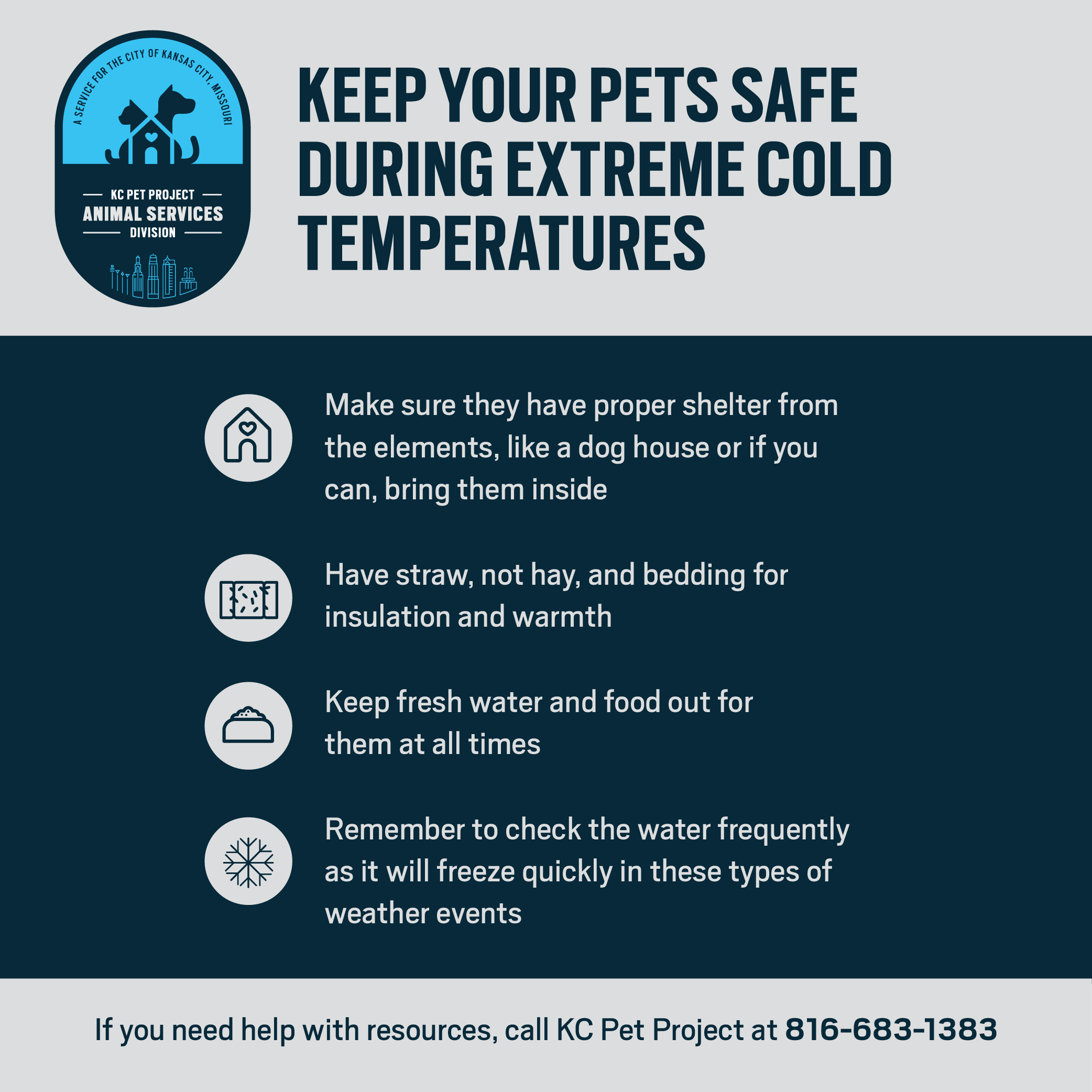 Keep Your Pets Safe During Extreme Cold Temperatures