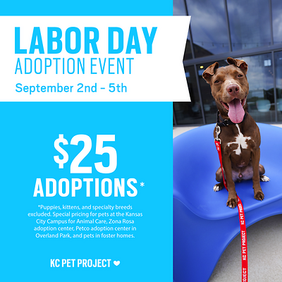 labor day adoption special