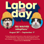Labor Day Adoption Special Graphic