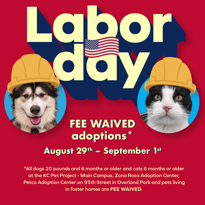Labor Day Adoption Special Graphic