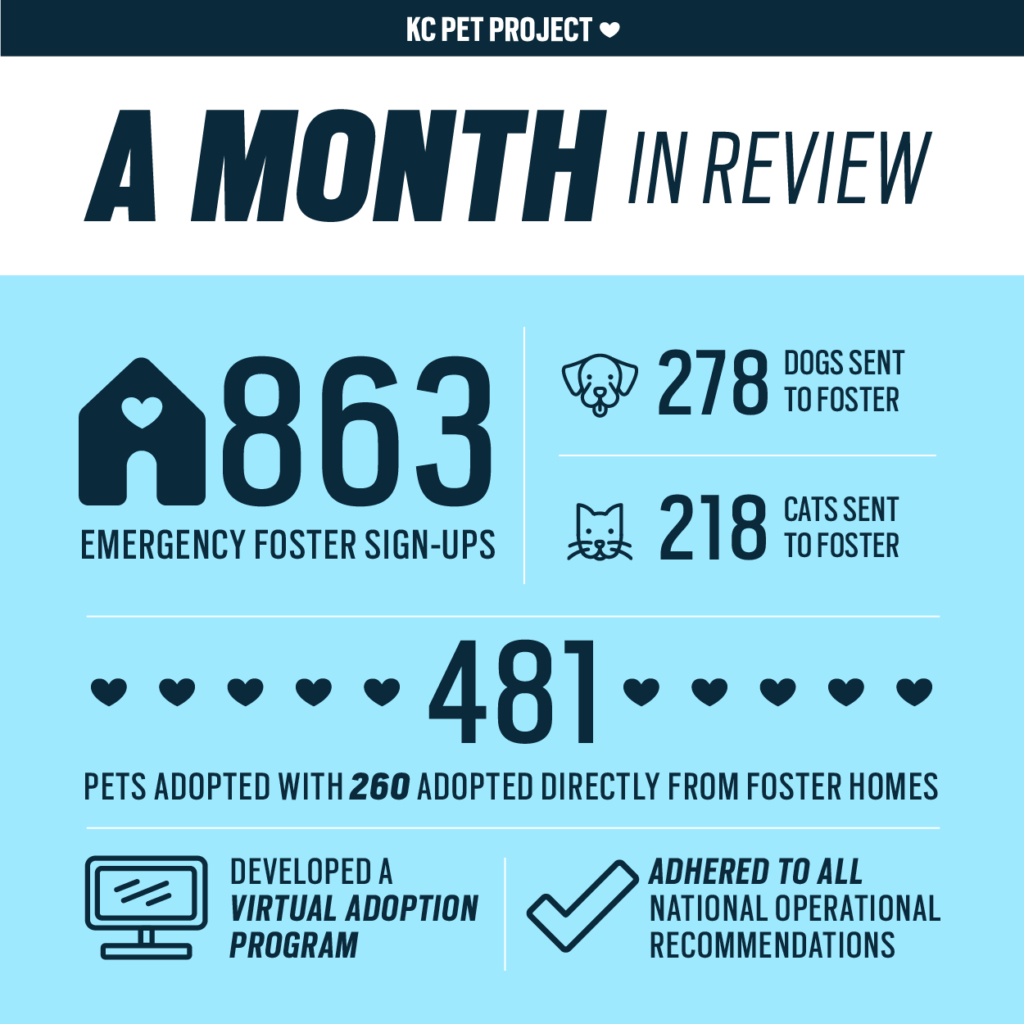 a month in review