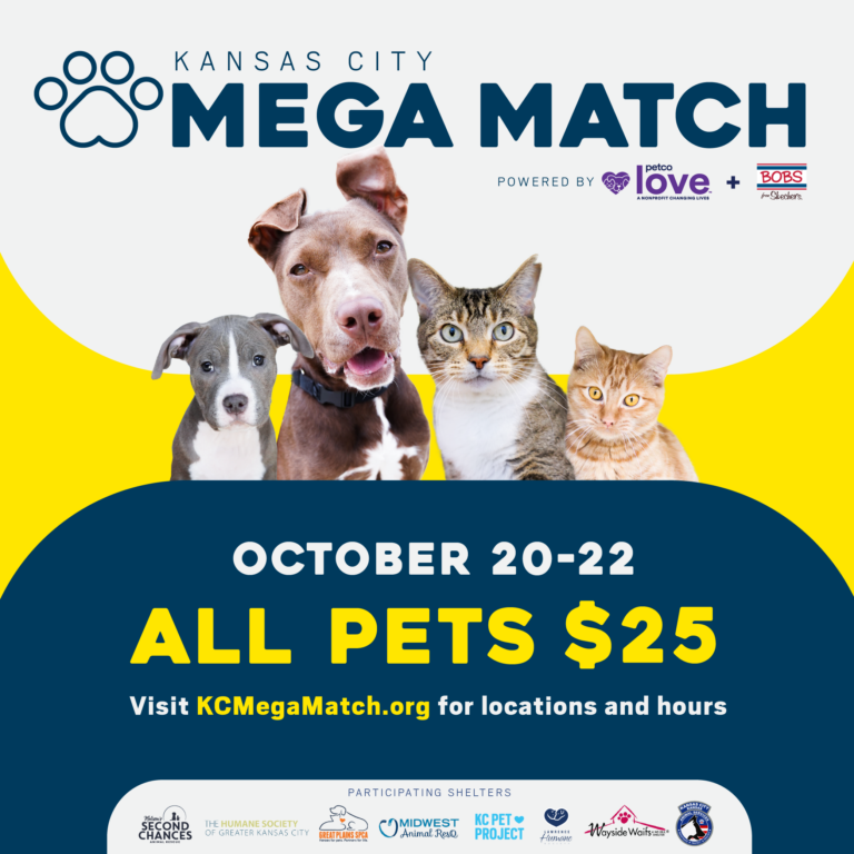 KC Mega Match Adoption Event