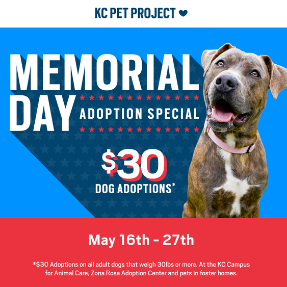 Memorial Day adoption special graphic