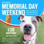 Memorial Day Weekend Adoption Special 2023