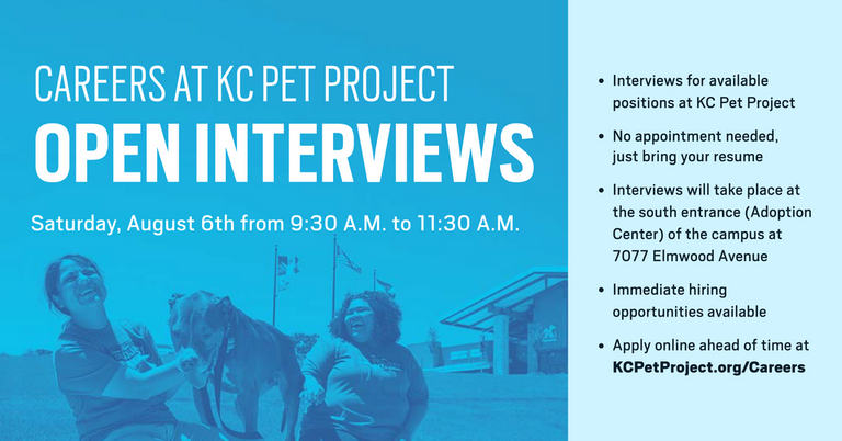 open interview event august 6th