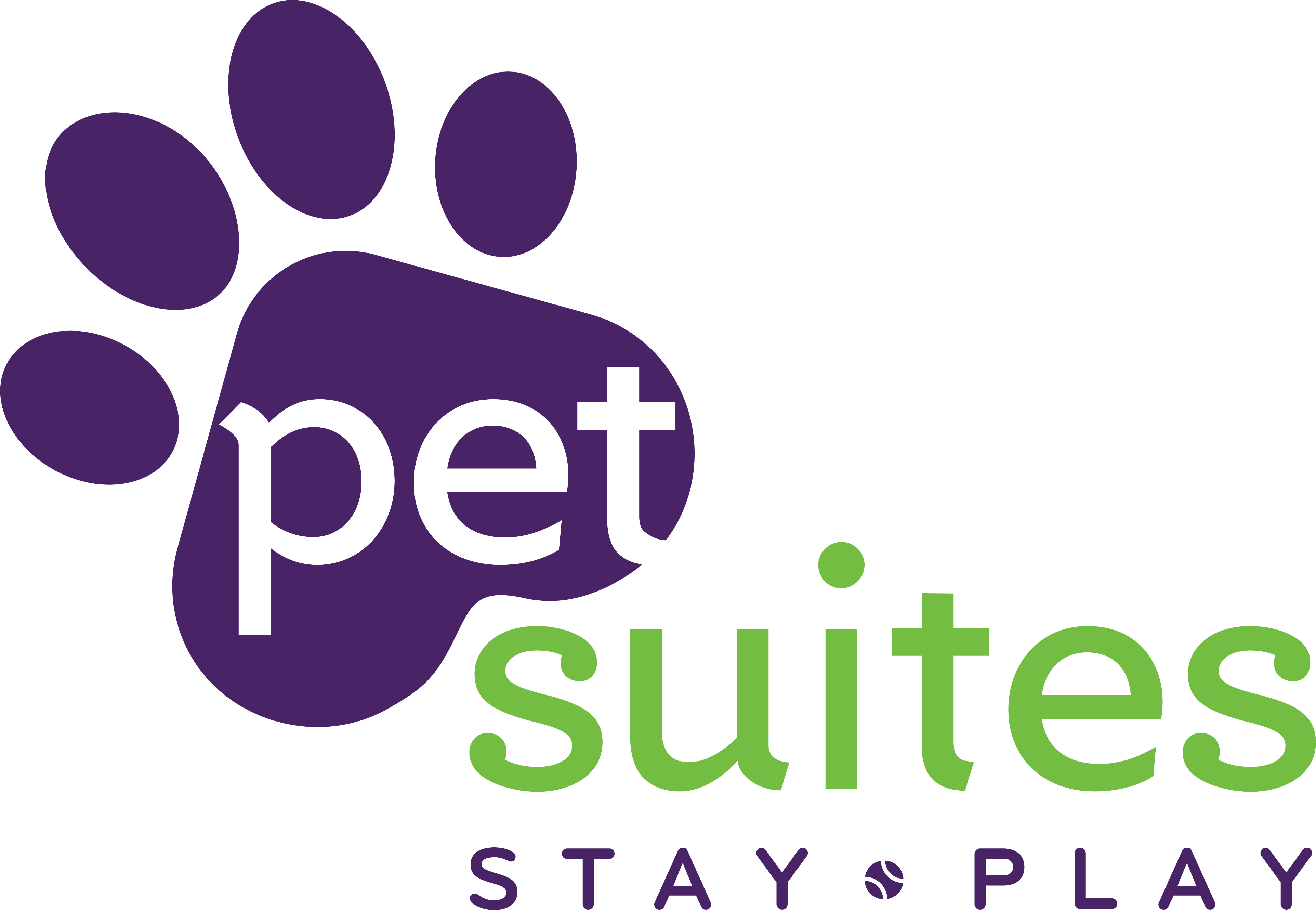 pet suites stay and play