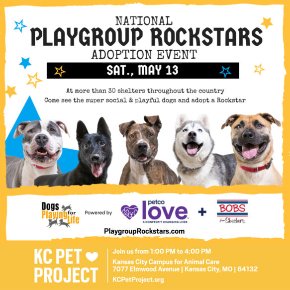 National Playgroup Rockstars Adoption Event Graphic