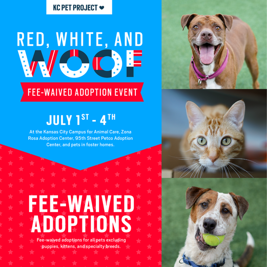 fourth of july adoption special