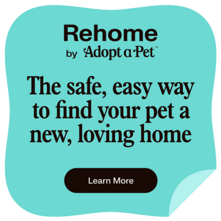 Rehome by Adopt-a-Pet