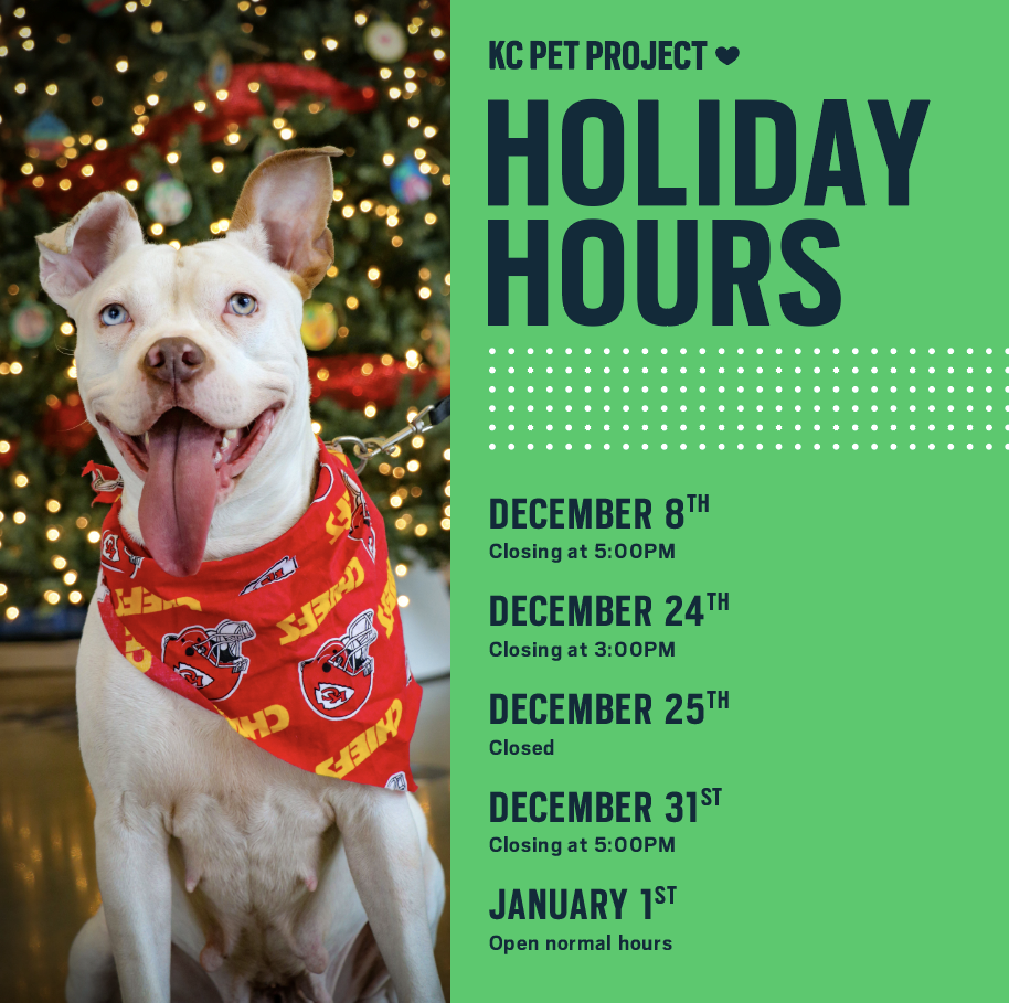 Support KC Pet Project this Holiday Season KC Pet Project