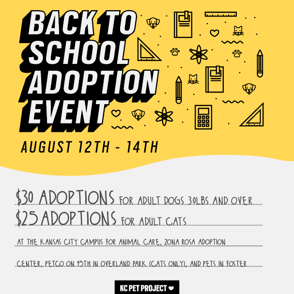 back to school adoption special