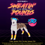 Sweatin' Off The Shelter Pounds Graphic