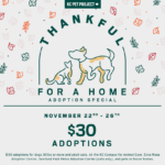 Thankful for a home adoption special graphic