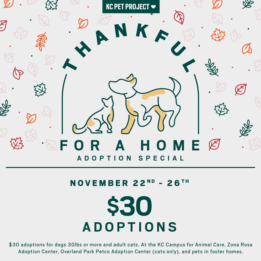 Thankful for a home adoption special graphic