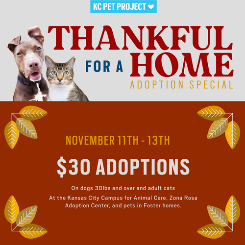 thankful for a home adoption special