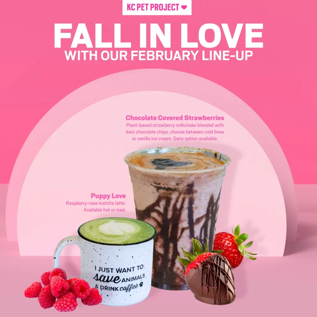 Graphic for February featured coffee drinks