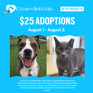 Adoption Special Graphic